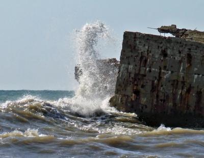 Прикрепленное изображение: DSCF8012.jpg